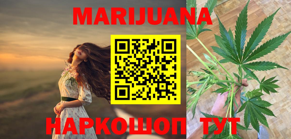 Каннабис сатива Унеча